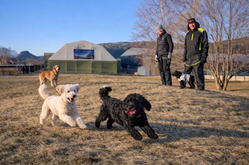 Åndalsnes Hundepark